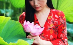 玩偶姐姐在哪里可以看到